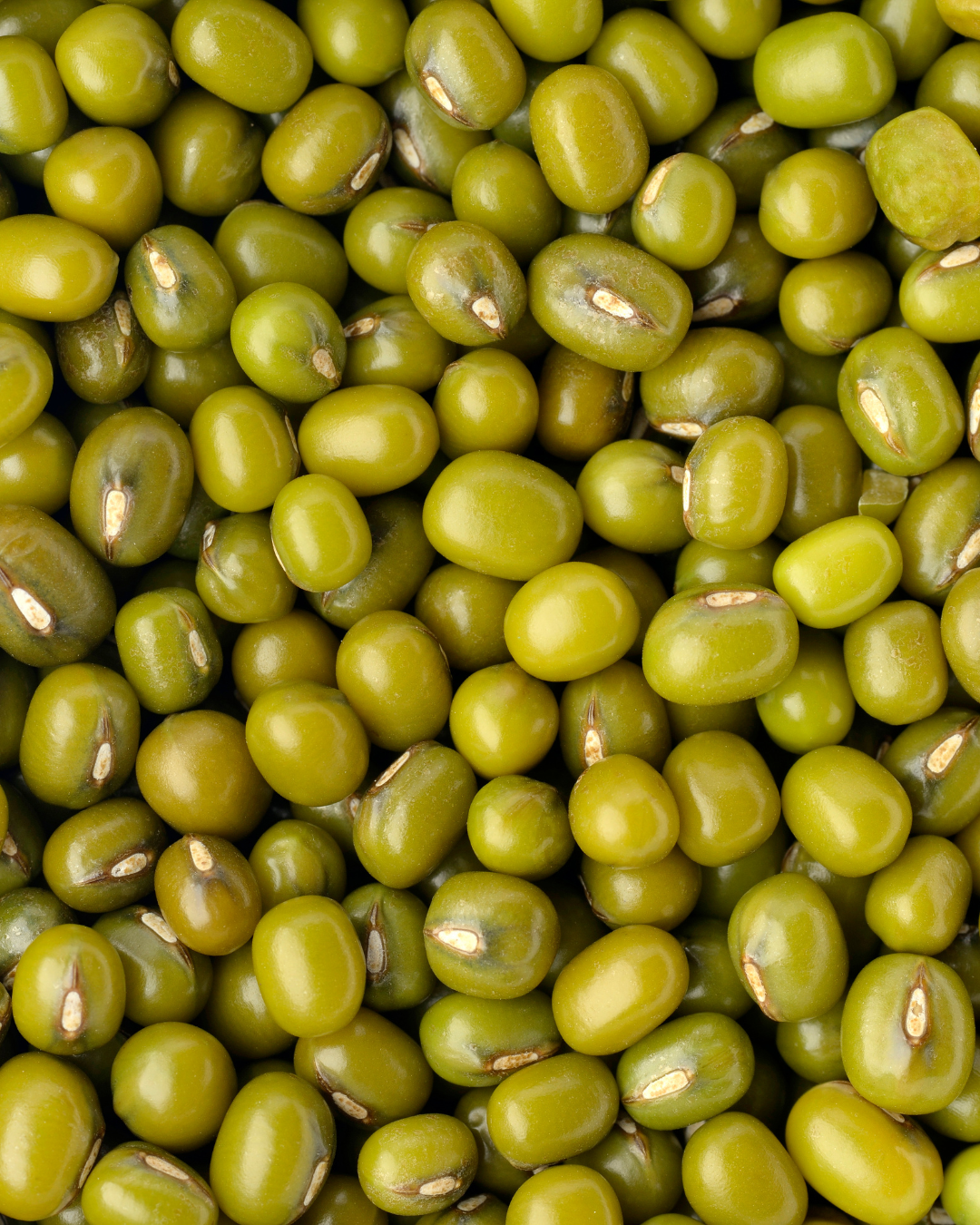 Whole moong lentils, a key ingredient in Babo's family Panjiri recipe