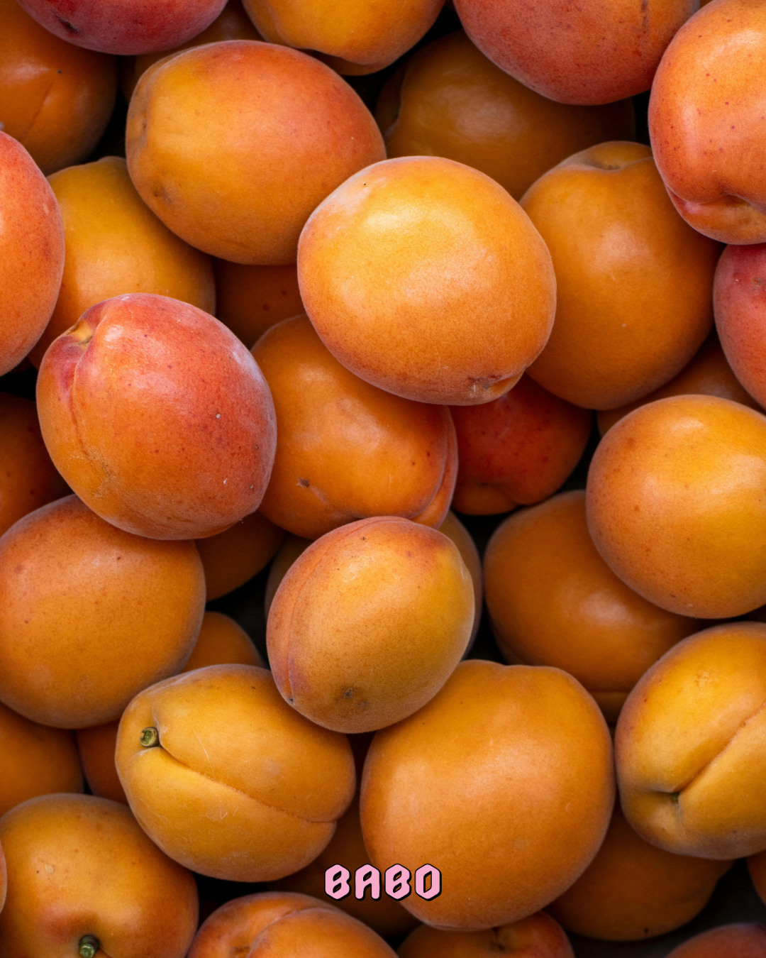 Babo's Panjiri Crunch Bar with Apricot