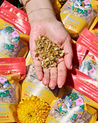 Babo Panjiri Case - Wholesale